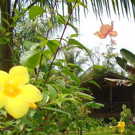 J And H Garden Cabinas Bocas del Toro Exterior photo