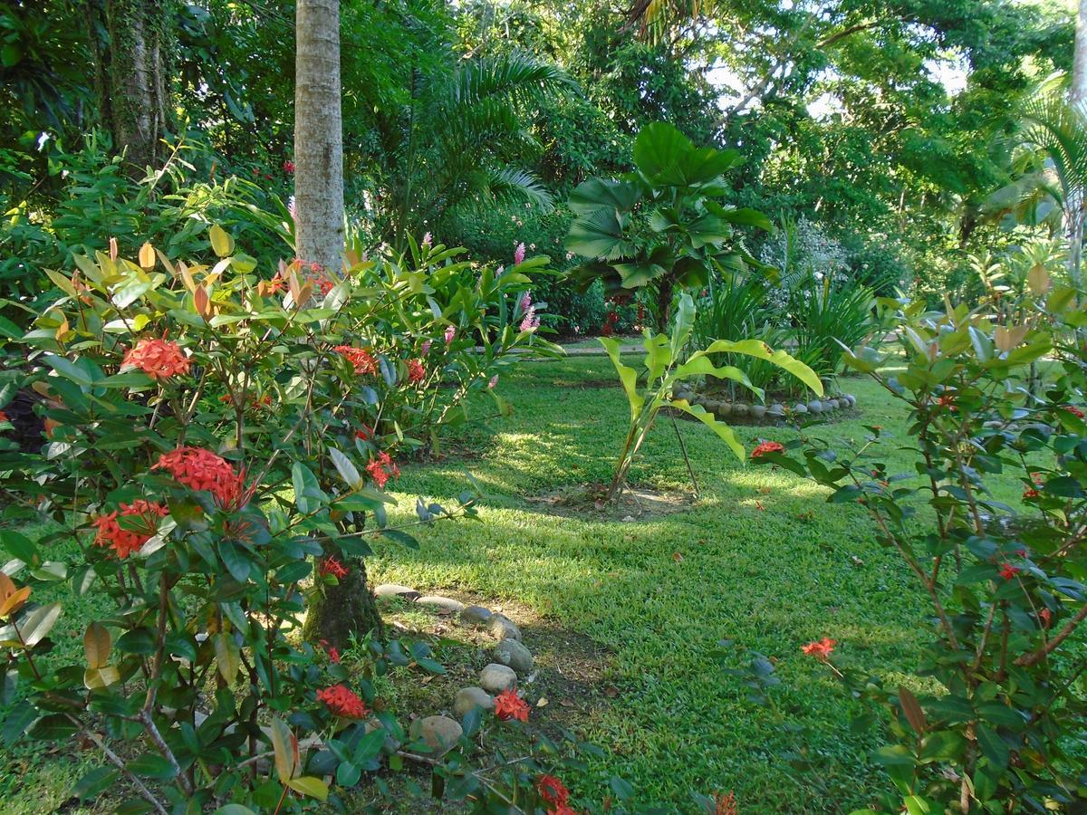 J And H Garden Cabinas Bocas del Toro Exterior photo