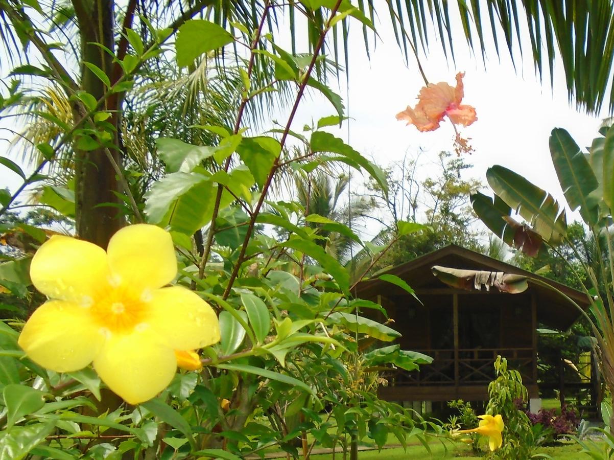 J And H Garden Cabinas Bocas del Toro Exterior photo